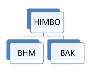 organisatie struktuur